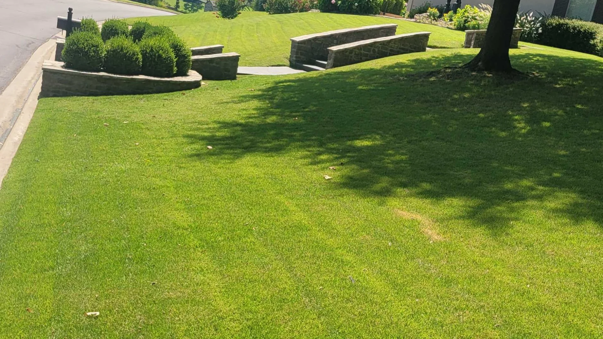 Ready to Mow Your Sod for the First Time? Make Sure to Follow These Rules!