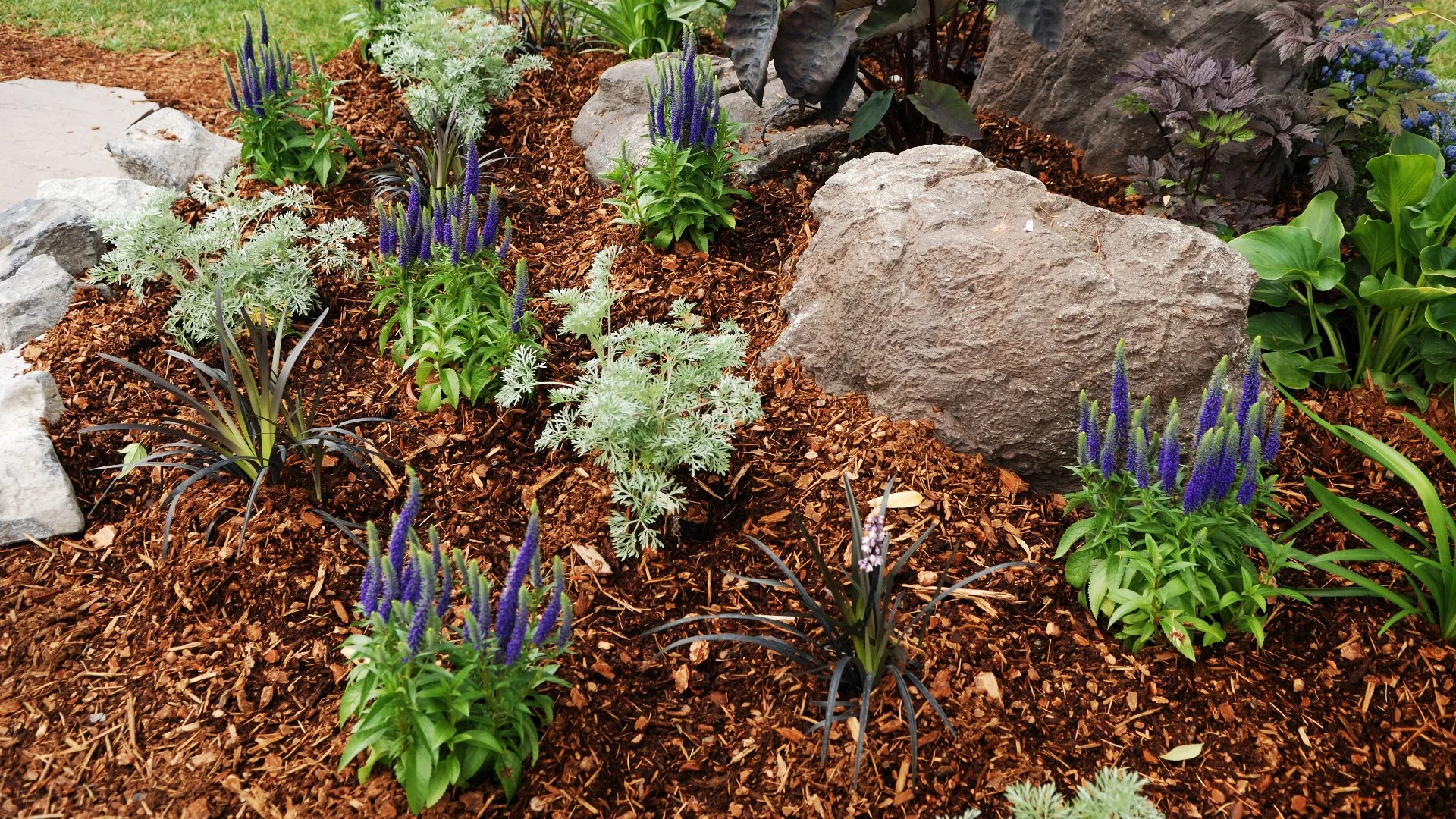 Does Mulch Actually Help to Keep Your Plants Healthy?