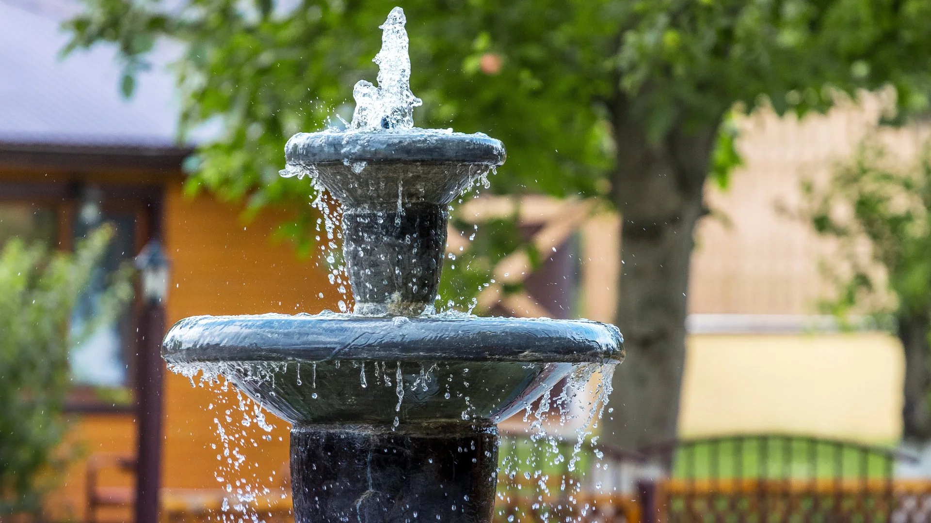 Custom vs Kit Water Features: Which Is Best for You?