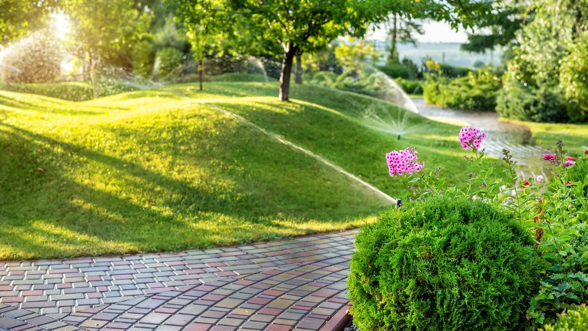 What Sprinkler Heads Are in My Turf?