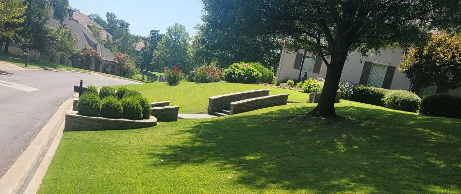 A healthy, fertilized lawn in Tulsa, OK, with a tree and shade.