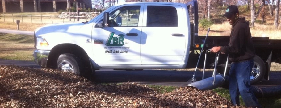 Plantings in a landscape installed in North Carolina.